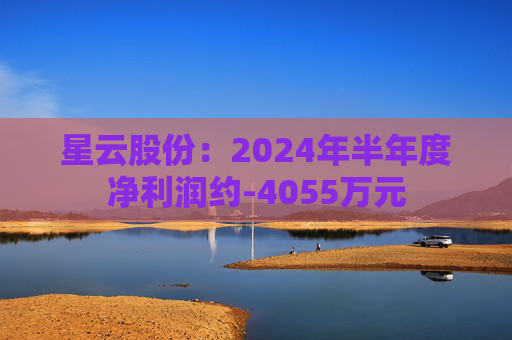 星云股份：2024年半年度净利润约-4055万元