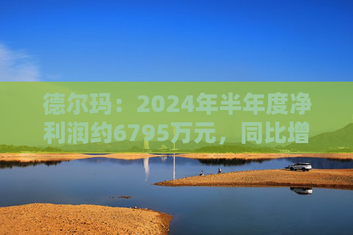 德尔玛：2024年半年度净利润约6795万元，同比增加0.71%