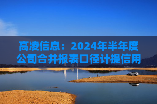 高凌信息：2024年半年度公司合并报表口径计提信用减值损失和资产减值损失合计1675.12万元