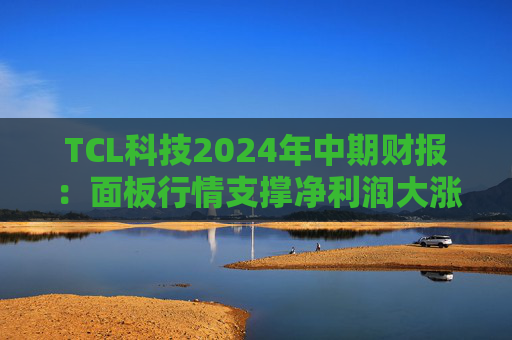 TCL科技2024年中期财报：面板行情支撑净利润大涨 光伏板块处于行业周期底部