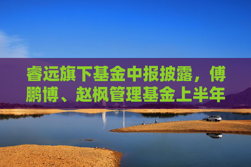 睿远旗下基金中报披露，傅鹏博、赵枫管理基金上半年纳入腾达科技等多只新股