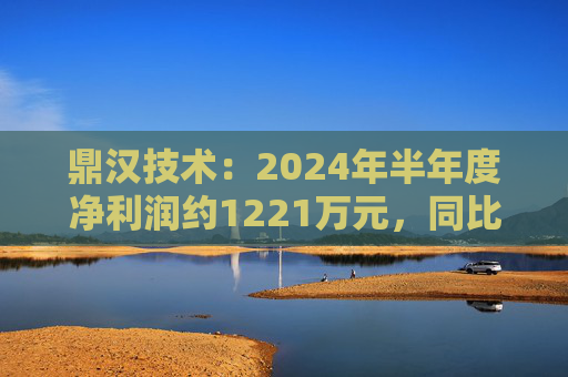 鼎汉技术：2024年半年度净利润约1221万元，同比增加207.37%