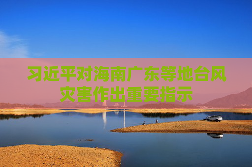 习近平对海南广东等地台风灾害作出重要指示