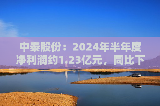 中泰股份：2024年半年度净利润约1.23亿元，同比下降33%