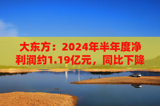 大东方：2024年半年度净利润约1.19亿元，同比下降14.38%