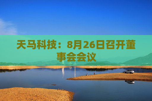 天马科技：8月26日召开董事会会议