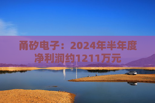 甬矽电子：2024年半年度净利润约1211万元