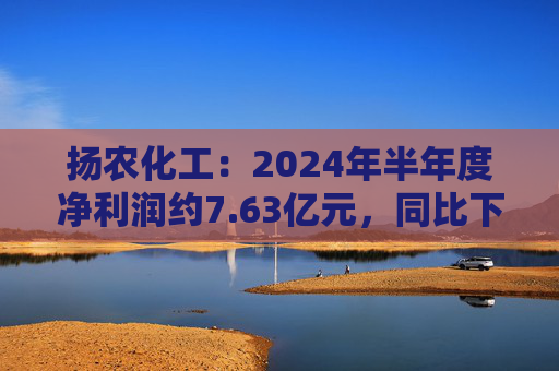 扬农化工：2024年半年度净利润约7.63亿元，同比下降32.1%