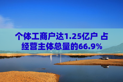 个体工商户达1.25亿户 占经营主体总量的66.9%