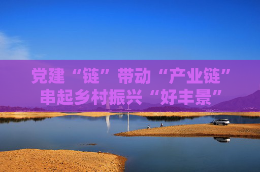 党建“链”带动“产业链”串起乡村振兴“好丰景”