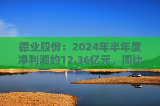 德业股份：2024年半年度净利润约12.36亿元，同比下降2.21%