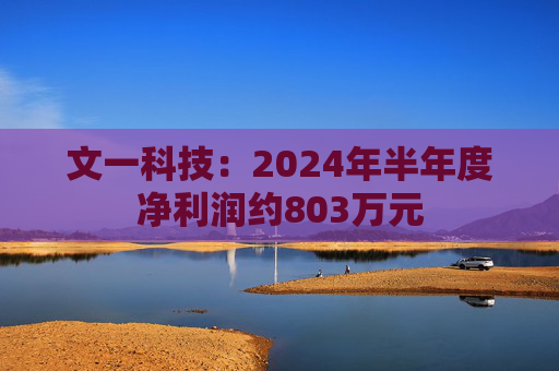 文一科技：2024年半年度净利润约803万元