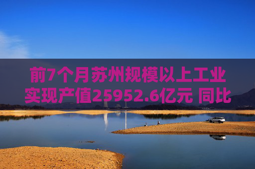 前7个月苏州规模以上工业实现产值25952.6亿元 同比增长5.6%