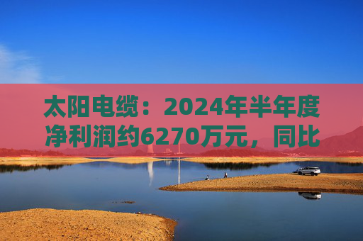 太阳电缆：2024年半年度净利润约6270万元，同比下降35.89%