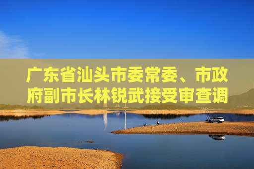 广东省汕头市委常委、市政府副市长林锐武接受审查调查