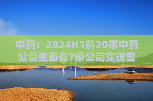 中药：2024H1前20家中药公司里面有7家公司实现营收增长，其他13家公司营收下降