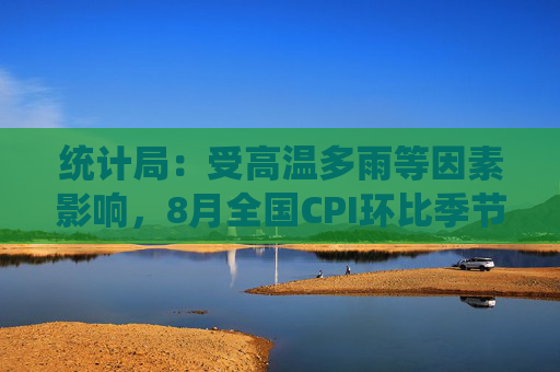 统计局：受高温多雨等因素影响，8月全国CPI环比季节性上涨