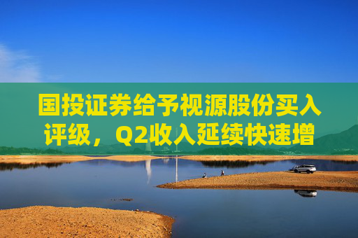 国投证券给予视源股份买入评级，Q2收入延续快速增长