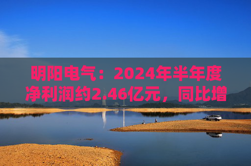 明阳电气：2024年半年度净利润约2.46亿元，同比增加52.36%