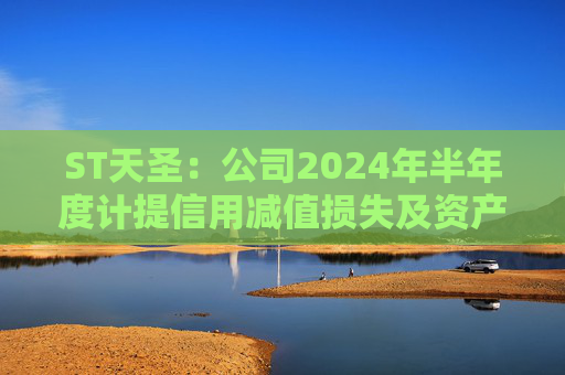 ST天圣：公司2024年半年度计提信用减值损失及资产减值损失合计约1046.31万元