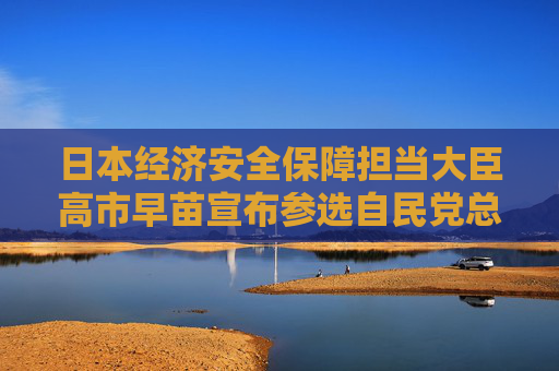 日本经济安全保障担当大臣高市早苗宣布参选自民党总裁