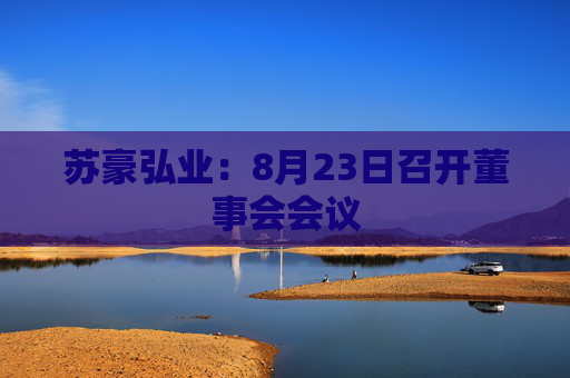 苏豪弘业：8月23日召开董事会会议