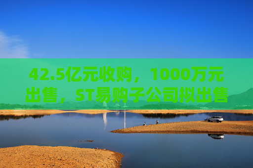 42.5亿元收购，1000万元出售，ST易购子公司拟出售天天快递