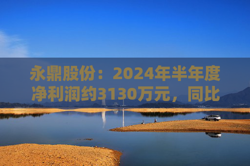 永鼎股份：2024年半年度净利润约3130万元，同比下降22.19%