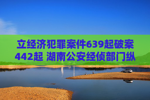 立经济犯罪案件639起破案442起 湖南公安经侦部门纵深推进夏季治安打击整治行动