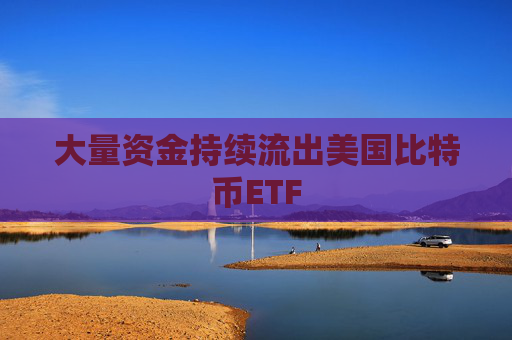 大量资金持续流出美国比特币ETF