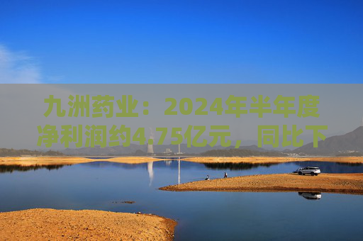 九洲药业：2024年半年度净利润约4.75亿元，同比下降23.62%