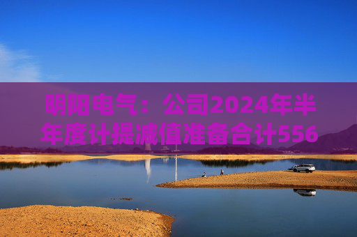 明阳电气：公司2024年半年度计提减值准备合计5561.69万元