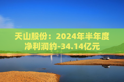 天山股份：2024年半年度净利润约-34.14亿元