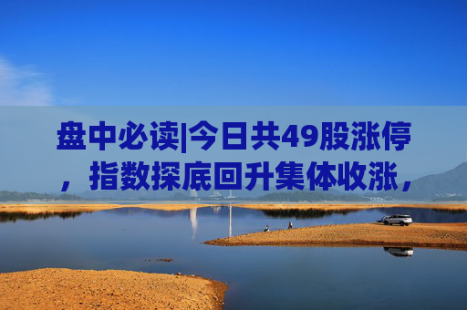 盘中必读|今日共49股涨停，指数探底回升集体收涨，充电桩、光通信概念逆势走高