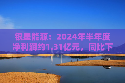 银星能源：2024年半年度净利润约1.31亿元，同比下降15.57%