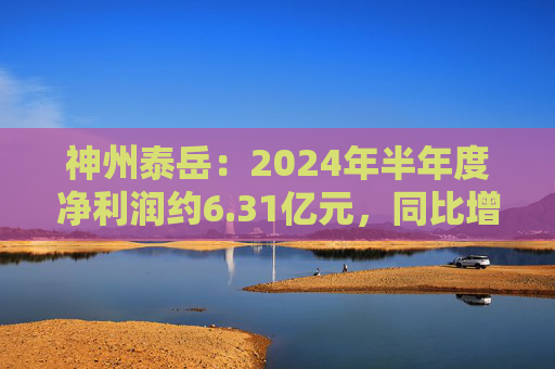 神州泰岳：2024年半年度净利润约6.31亿元，同比增加56.18%