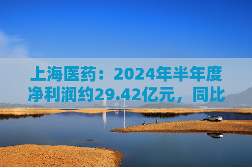 上海医药：2024年半年度净利润约29.42亿元，同比增加12.72%