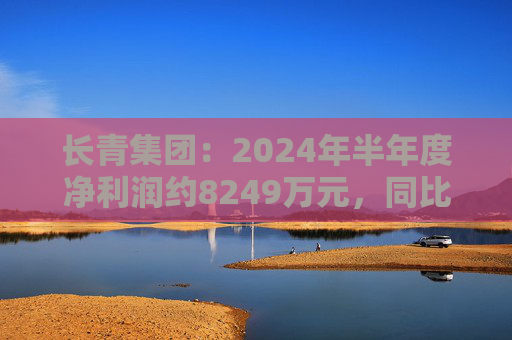 长青集团：2024年半年度净利润约8249万元，同比增加7.45%