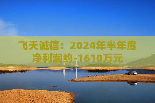 飞天诚信：2024年半年度净利润约-1610万元