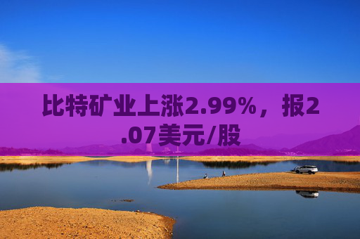 比特矿业上涨2.99%，报2.07美元/股