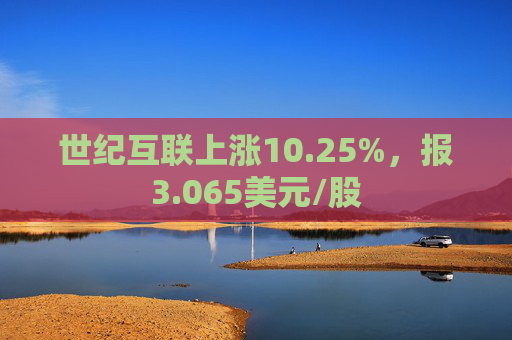 世纪互联上涨10.25%，报3.065美元/股