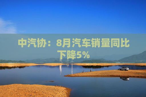 中汽协：8月汽车销量同比下降5%