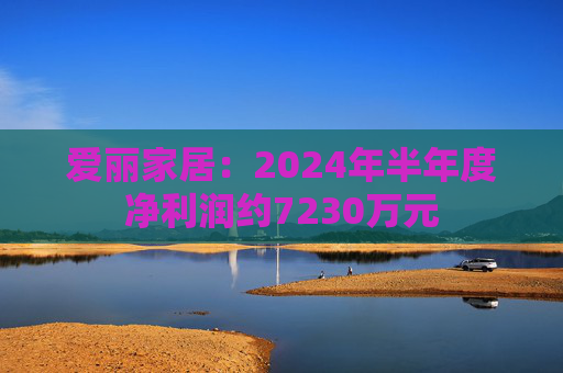 爱丽家居：2024年半年度净利润约7230万元