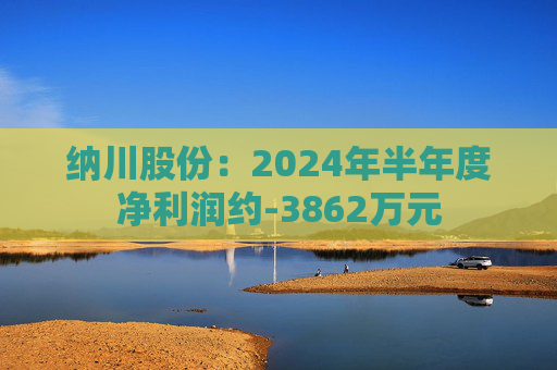 纳川股份：2024年半年度净利润约-3862万元