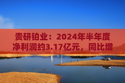 贵研铂业：2024年半年度净利润约3.17亿元，同比增加9.65%