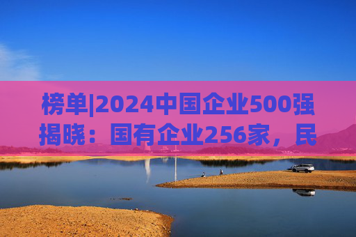 榜单|2024中国企业500强揭晓：国有企业256家，民营企业244家，与上年情况一致