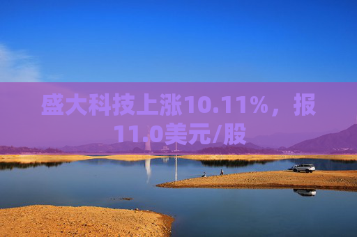 盛大科技上涨10.11%，报11.0美元/股