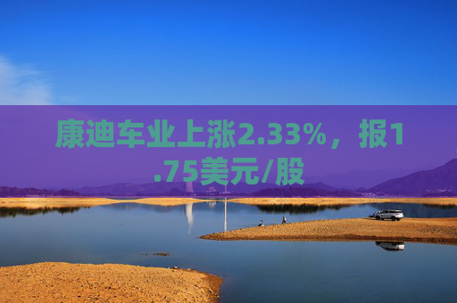 康迪车业上涨2.33%，报1.75美元/股