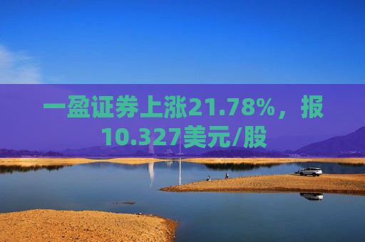 一盈证券上涨21.78%，报10.327美元/股