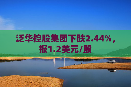 泛华控股集团下跌2.44%，报1.2美元/股